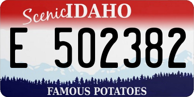 ID license plate E502382