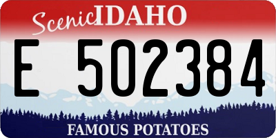 ID license plate E502384