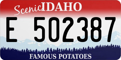 ID license plate E502387
