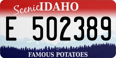 ID license plate E502389