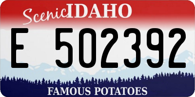 ID license plate E502392