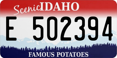 ID license plate E502394