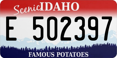 ID license plate E502397