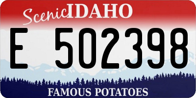 ID license plate E502398