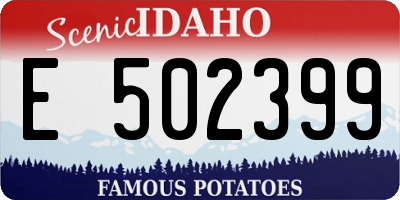 ID license plate E502399