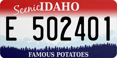 ID license plate E502401