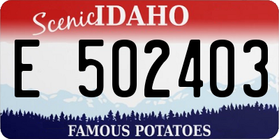ID license plate E502403