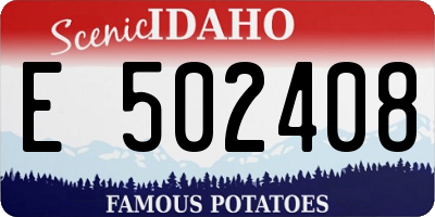 ID license plate E502408