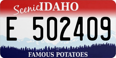 ID license plate E502409