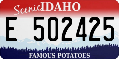 ID license plate E502425