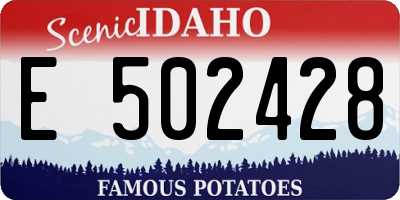 ID license plate E502428