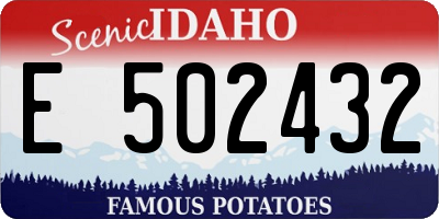 ID license plate E502432