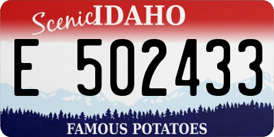ID license plate E502433