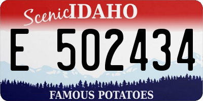 ID license plate E502434