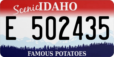 ID license plate E502435
