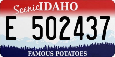 ID license plate E502437