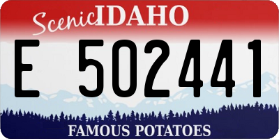 ID license plate E502441