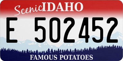 ID license plate E502452
