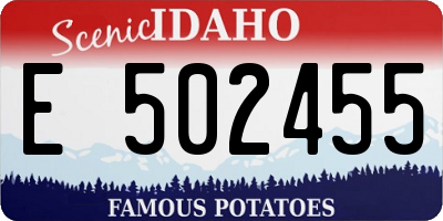 ID license plate E502455