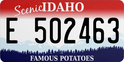 ID license plate E502463