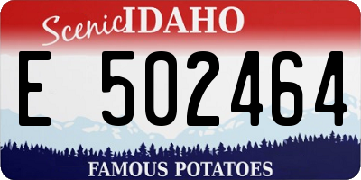 ID license plate E502464