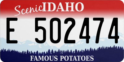ID license plate E502474