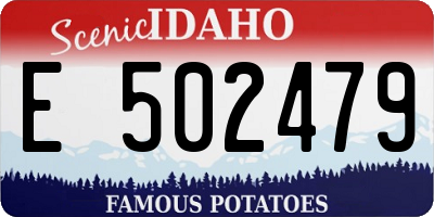 ID license plate E502479