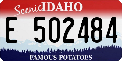 ID license plate E502484