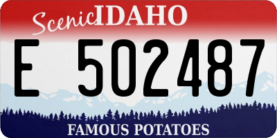 ID license plate E502487