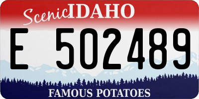 ID license plate E502489