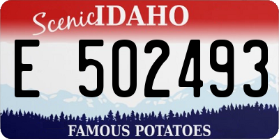 ID license plate E502493