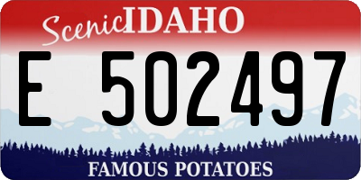 ID license plate E502497