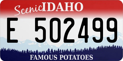 ID license plate E502499