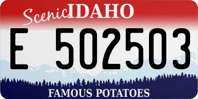 ID license plate E502503