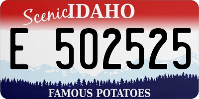 ID license plate E502525