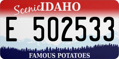 ID license plate E502533