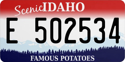 ID license plate E502534