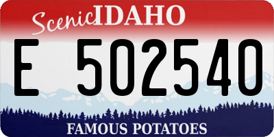 ID license plate E502540