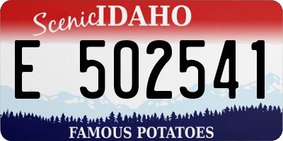 ID license plate E502541