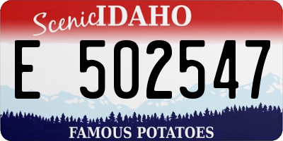 ID license plate E502547