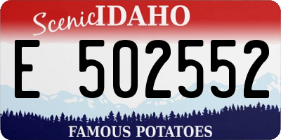 ID license plate E502552
