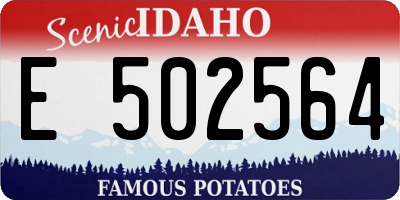 ID license plate E502564