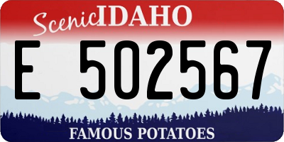 ID license plate E502567