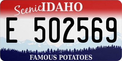 ID license plate E502569