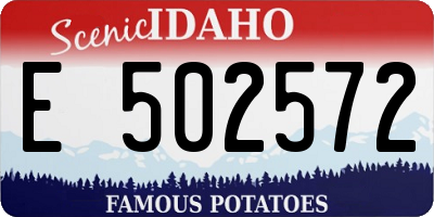 ID license plate E502572