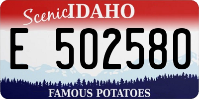ID license plate E502580