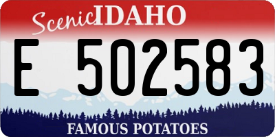 ID license plate E502583