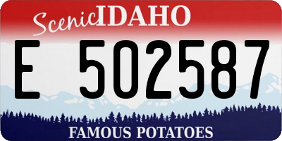 ID license plate E502587