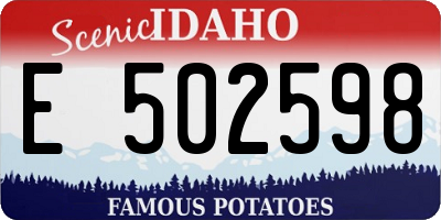ID license plate E502598