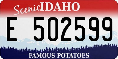 ID license plate E502599